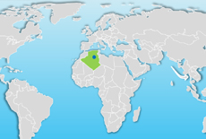 The Bir Seba field in Algeria has commenced first oil production