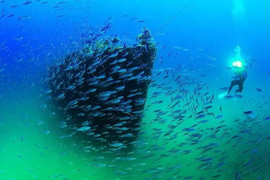 PTTEP receives Gulf Sustainability Awards 2021 for H.T.M.S. Underwater Learning Site Project